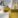 neotares_Aktuelles_ORGATEC Cologne 2024_2024_01