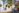 240215 Topfpflanze Originalbild