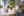 240215 Topfpflanze Originalbild